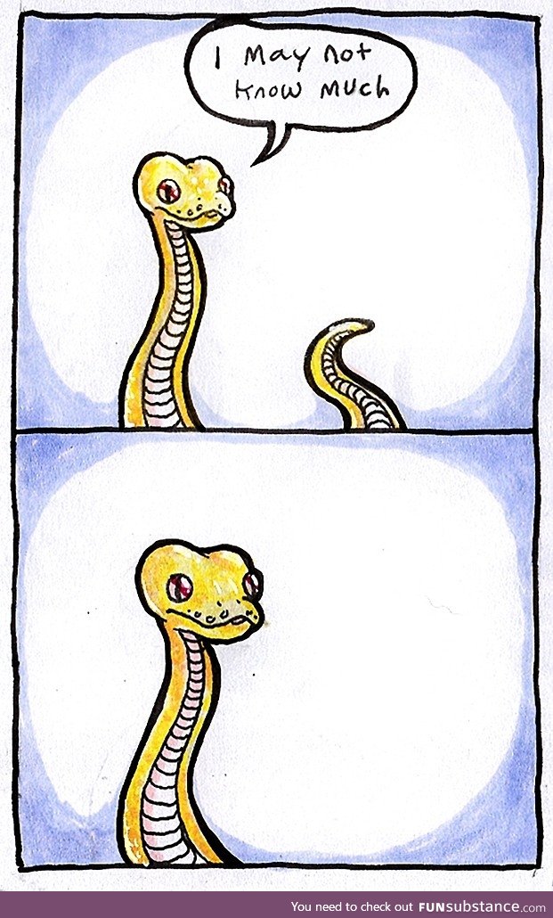 I May Not Know Much. Snek owners understand