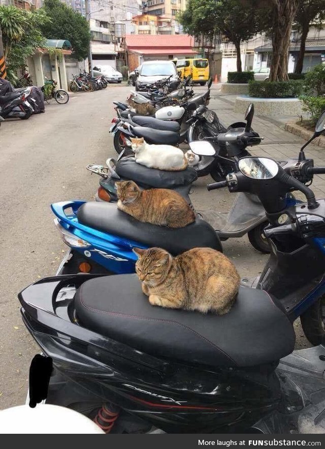 Motorbike security guards