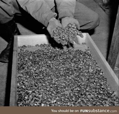 Some of the wedding rings found in Auschwitz