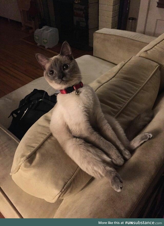 Gorgeous ket does a weird sit