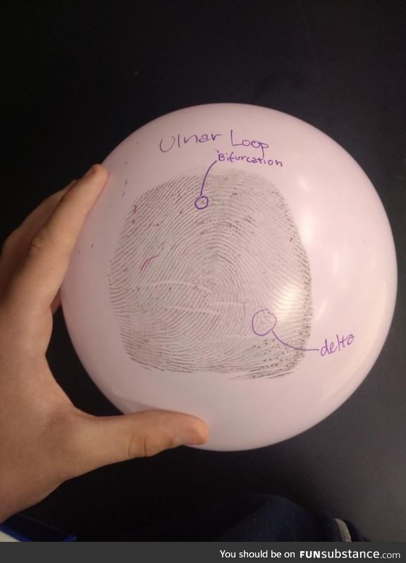 Forensics class fingerprinted a balloon and then inflated it for a lab