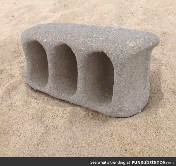 This cinder block that washed up on shore after tumbling through ocean currents