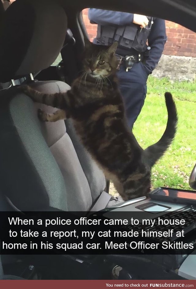 Search me officer