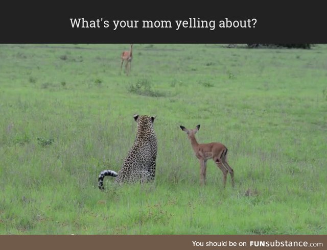 What's your mom yelling about?