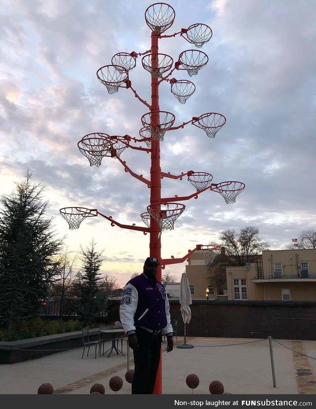 Shaquille O'Neal mad a tree out of all the backboards he broke in his career