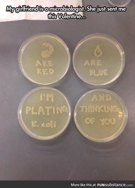 Microbiologist expressing her love