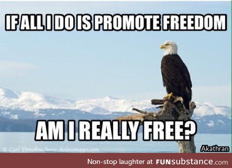 What is "freedom"?