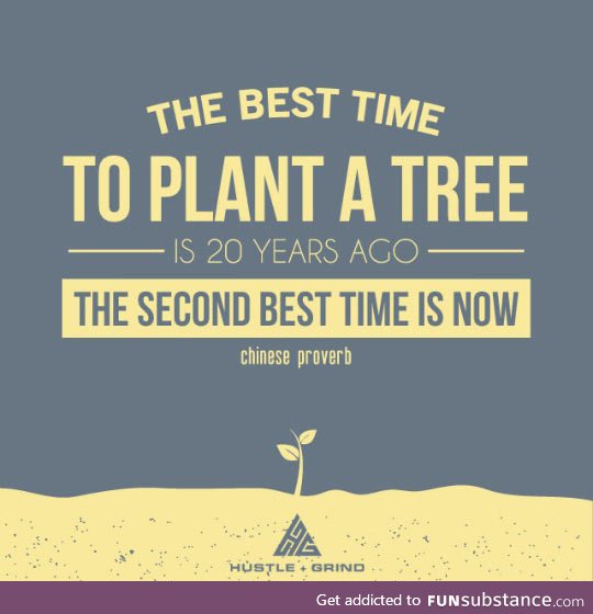 Best time to plant a tree