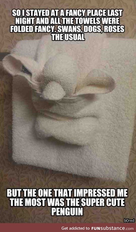 I'm normally not that impressed with towel folding