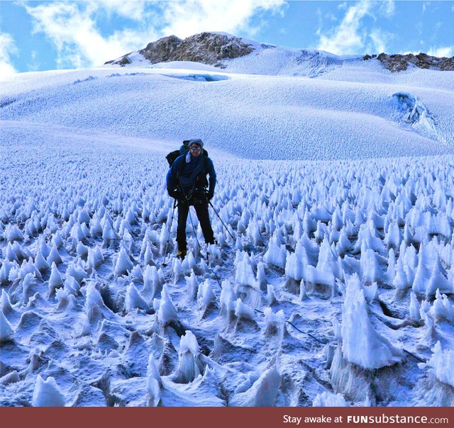 A field of jagged ice