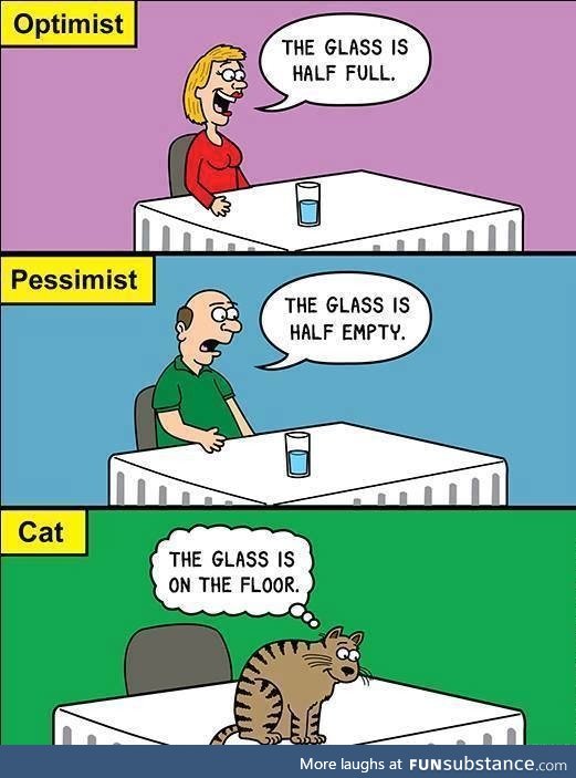 Optimist, pessimist and the cat