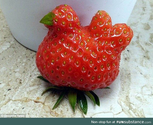 Chicken-shaped Strawberry