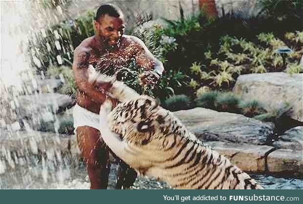 Mike Tyson playing with his white tiger in a fountain