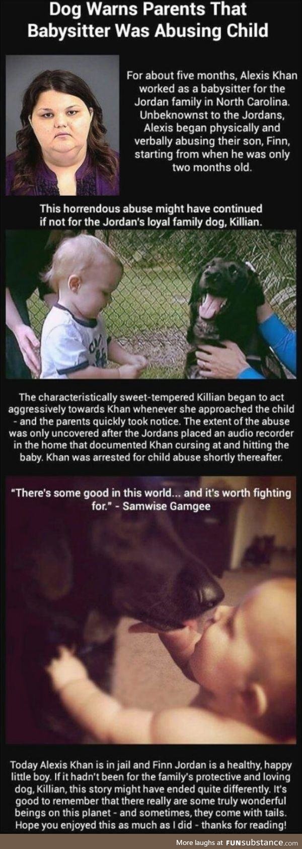Dog saves baby from abuse
