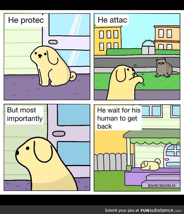 He also bark