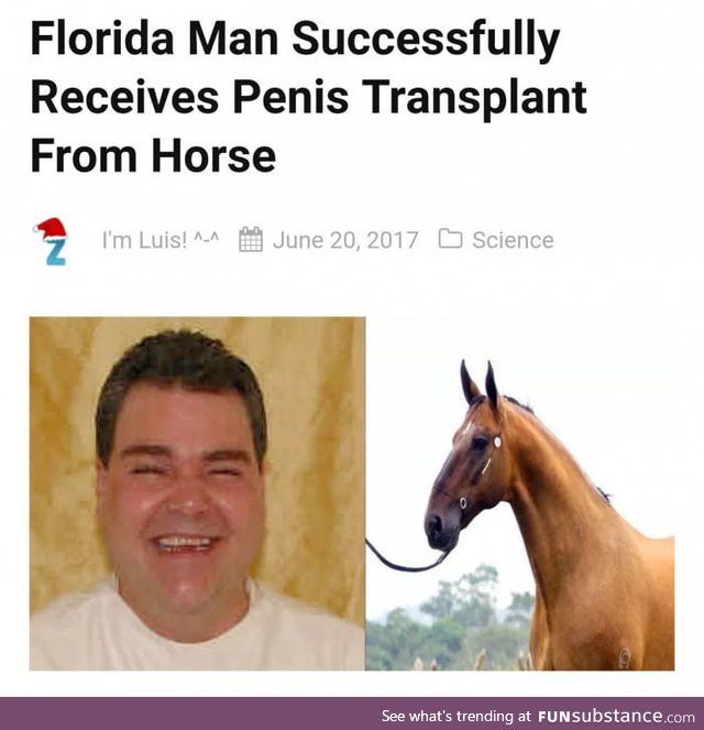 Roses are red, I like to endorse