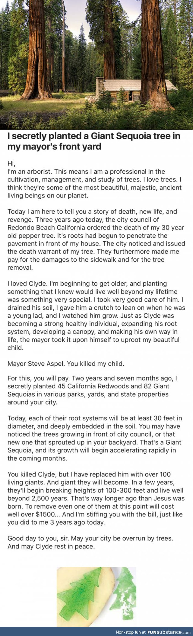 Mayor Cuts Down Man's 30-Year-Old Tree, He Revenges Him In The Best Possible Way