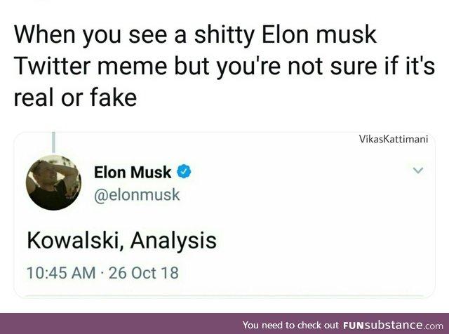 Elon, you NPC