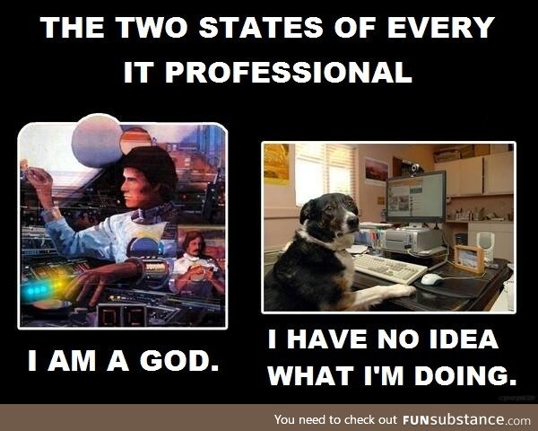 The two states of an IT professional