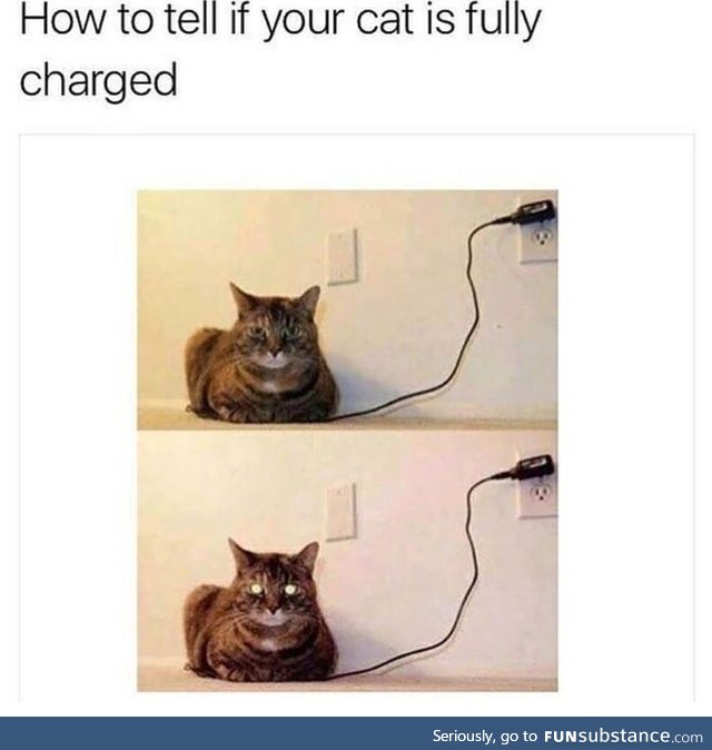 Cat is fully charged.. Please remove plug