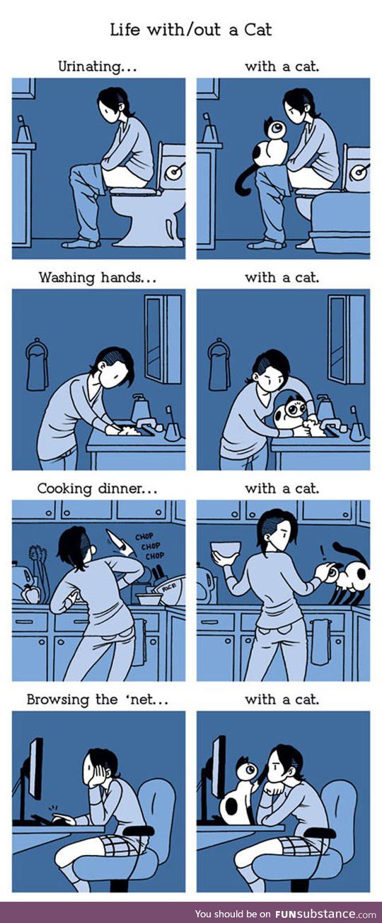 Living with a cat