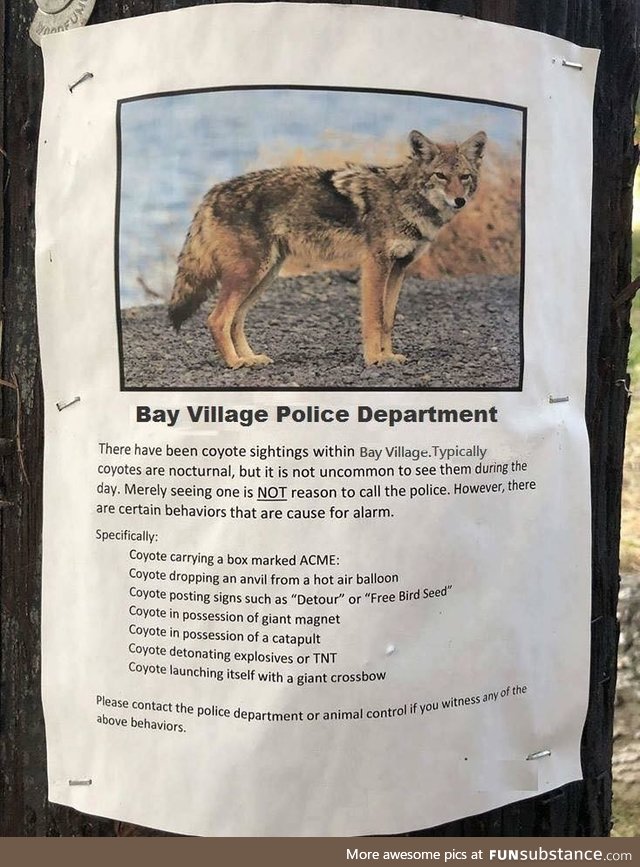The mere sighting of a coyote is not a reason to call the Police department