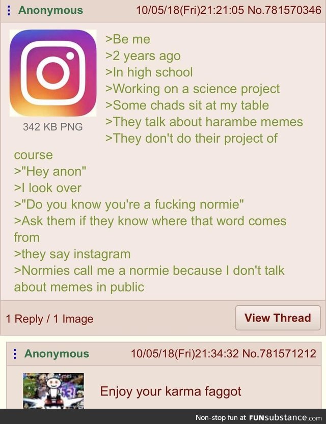 Anon need to understand that normalfag is the correct term