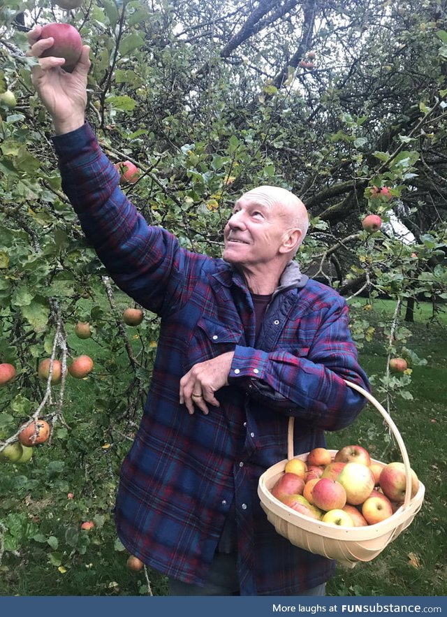 Patrick Stewart apple picking