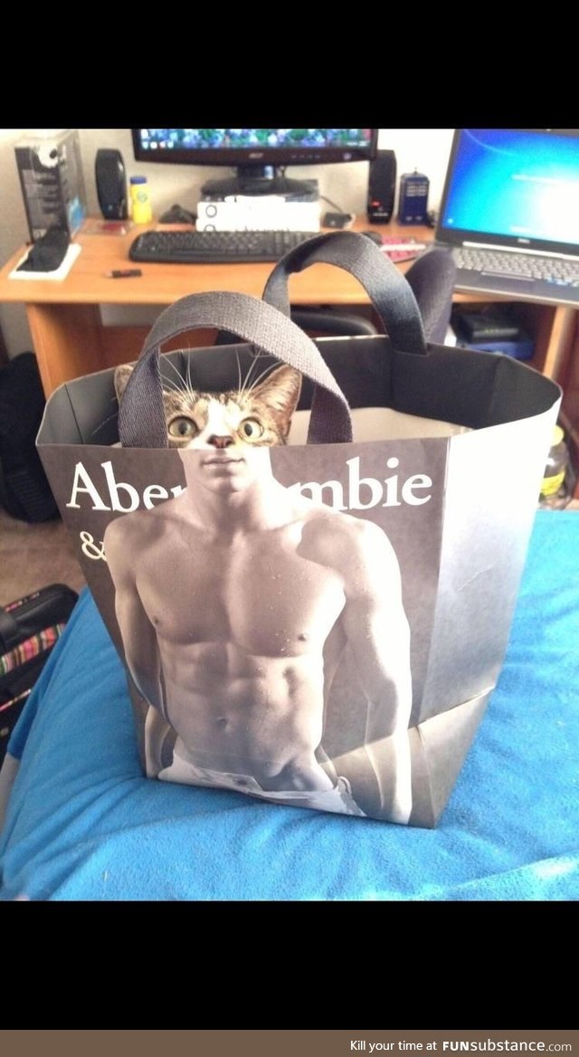 Cat’s been hitting the gym lately