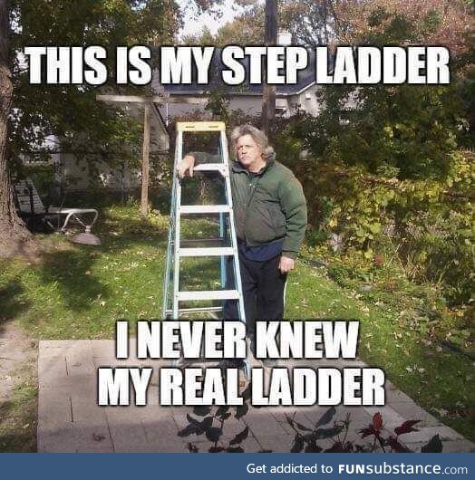 You're not my real ladder! FunSubstance