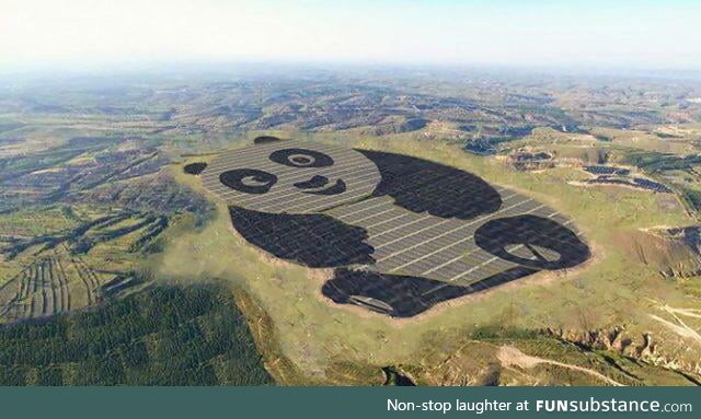 Panda-shaped solar farm in China