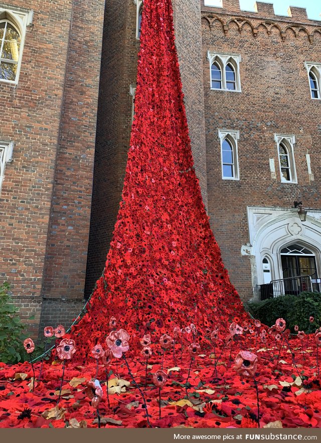 In memory of those who lost their lives in WW1