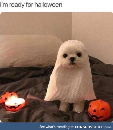 Pup or treat