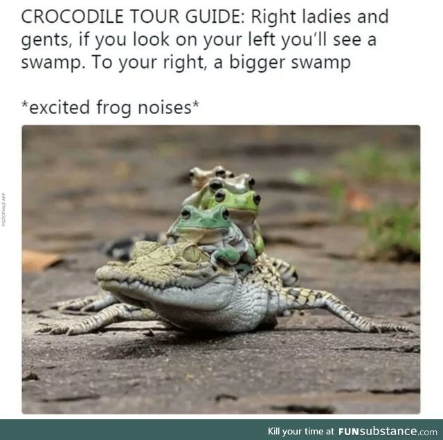 El crocodilo will make them croak