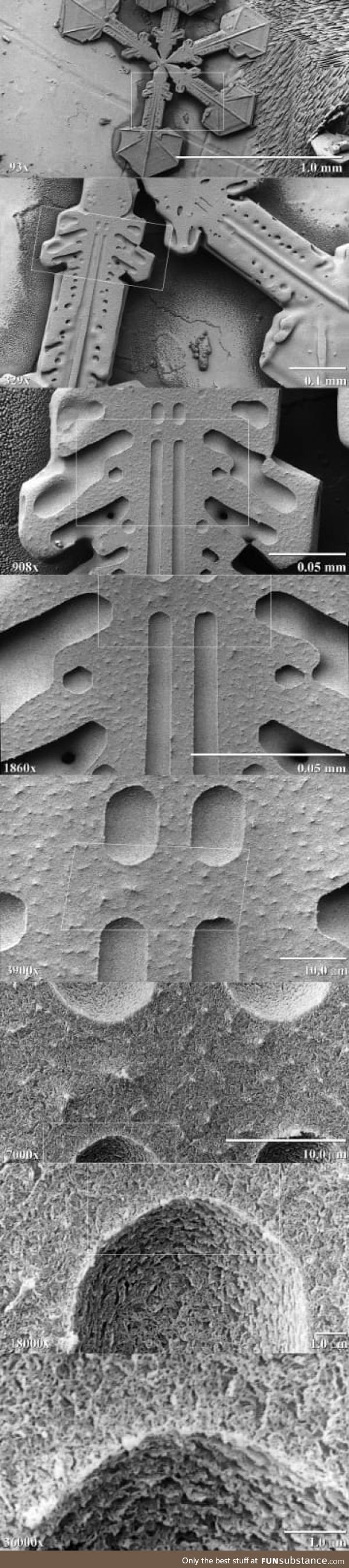 Snowflake under an electron microscope
