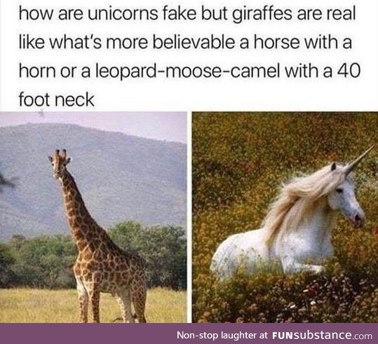 I actually don't believe in giraffes