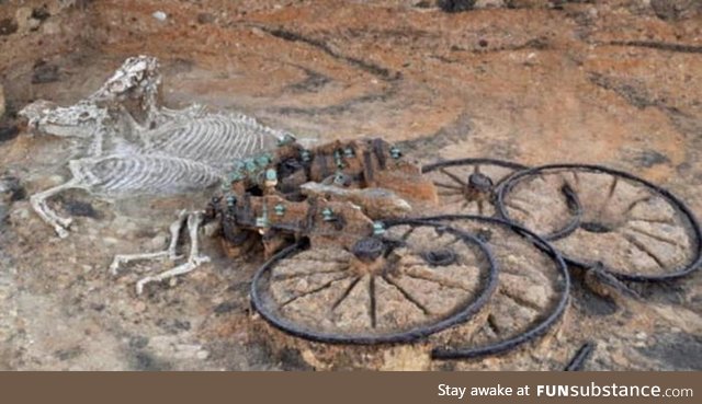 Near complete remains of an Iron Age horse drawn chariot found in England