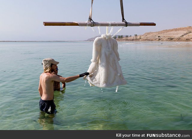 Artist leaves dress in the dead sea for 2 years and it turns into glittering salt crystal