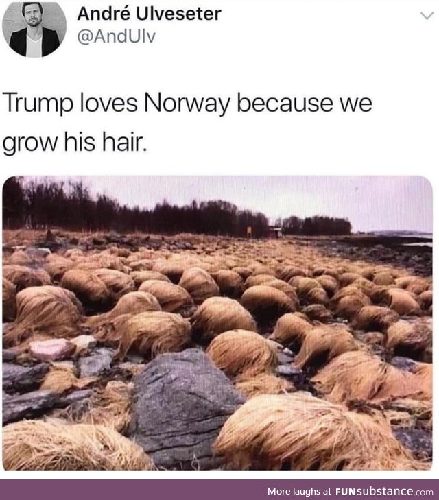 Ahhh good old Trump fields