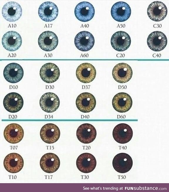 What is your eye-d number?