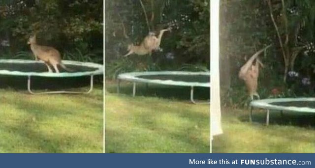 Pretty sure this was his first time on a trampoline
