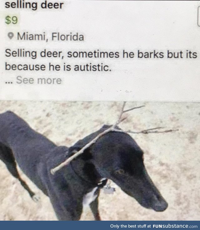 Deer confirmed