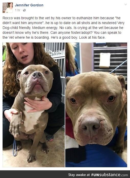 Anyone in NJ that can help this good boy?