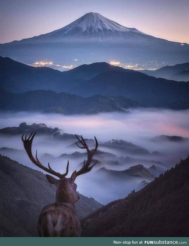 Mount fuji