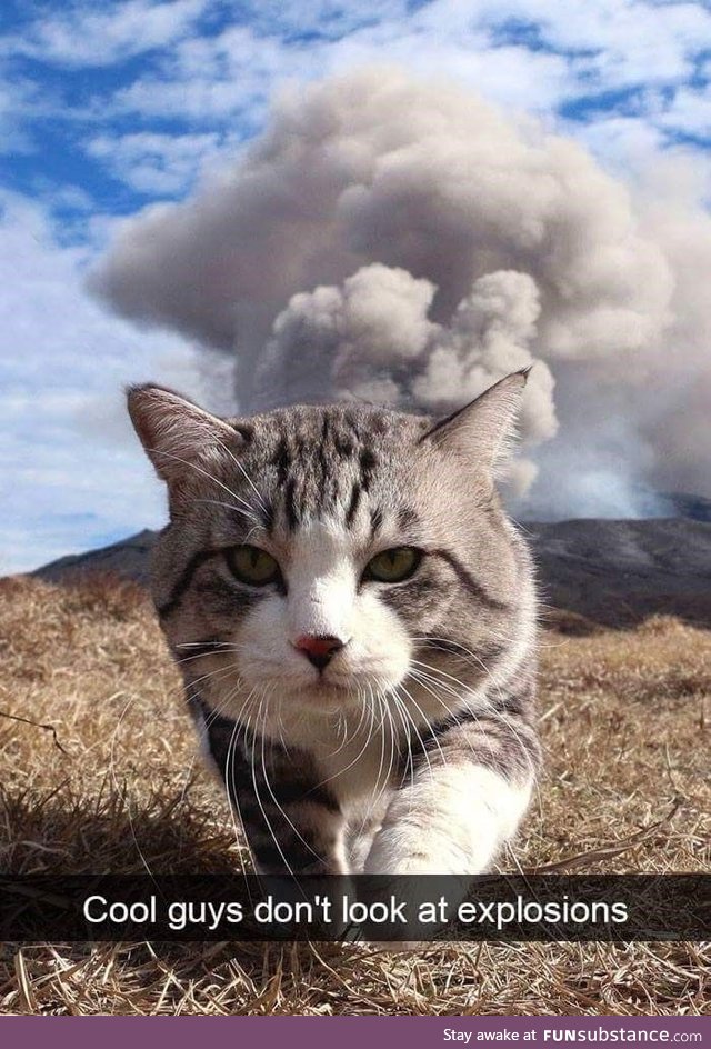 Such a badass