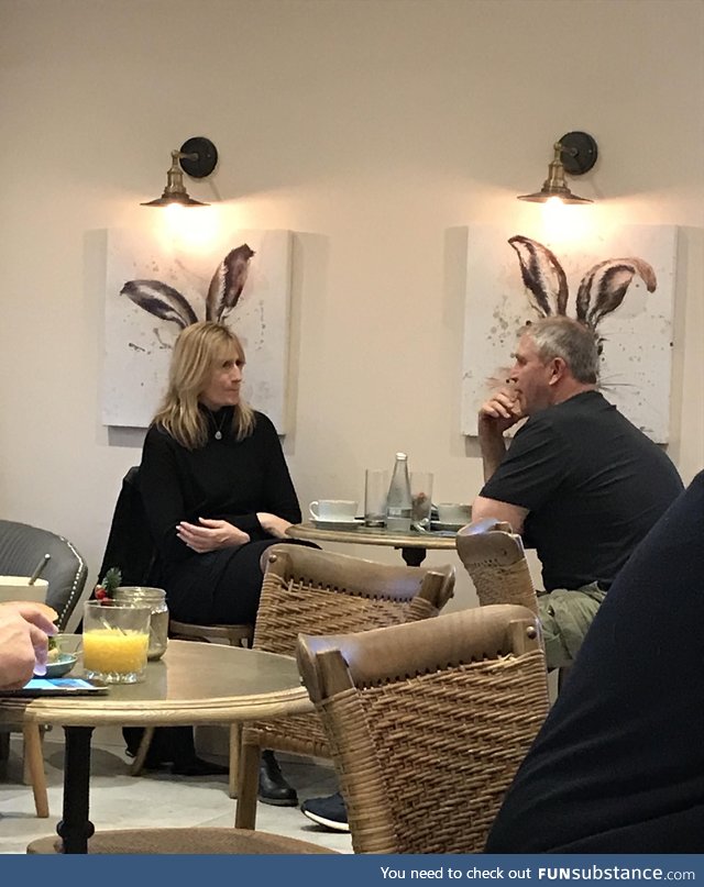 Two bunnies having a chat