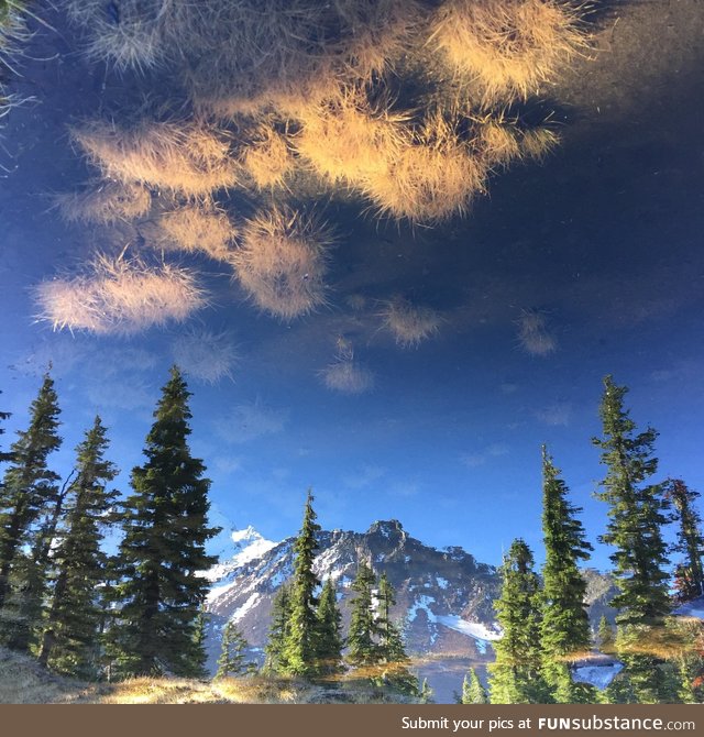 This photo is upside down
