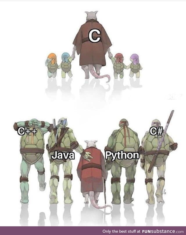C with Other Programming Languages