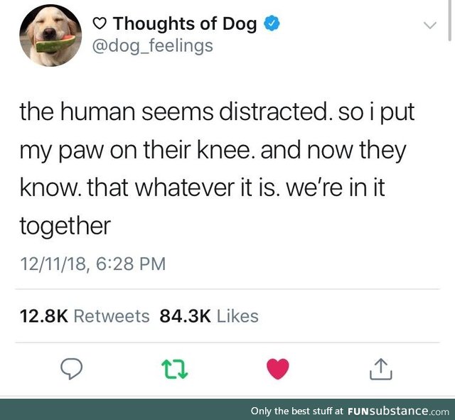Good bois be good