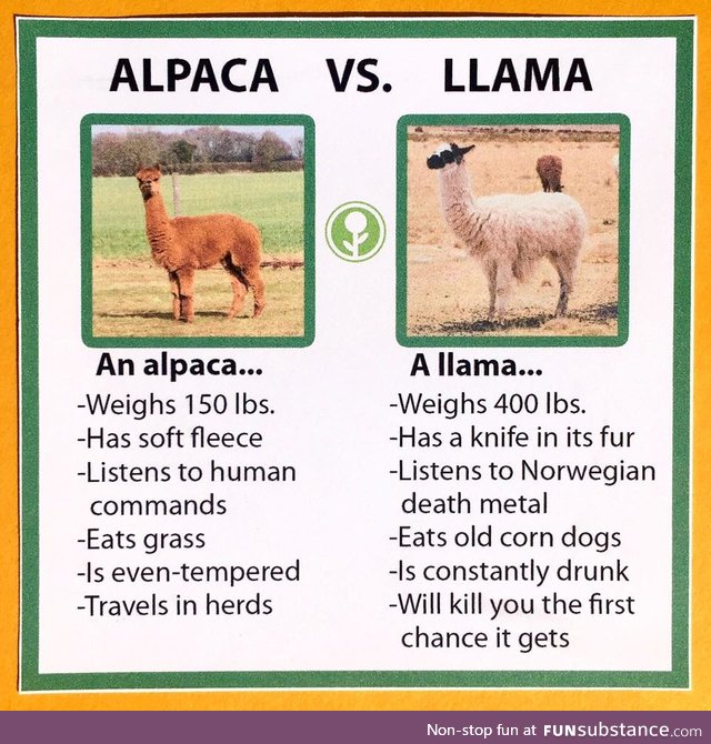 I googled the differences between llamas and alpacas... found this.